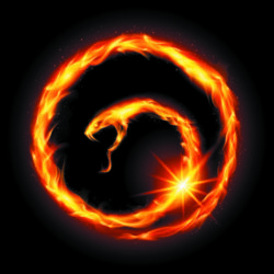 Adam Wasiak - zdjęcie profilowe