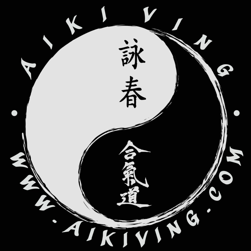 Wymagania techniczne Aiki Ving