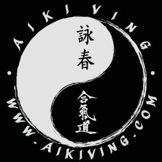 Wymagania techniczne Aiki Ving