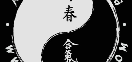 Wymagania techniczne Aiki Ving