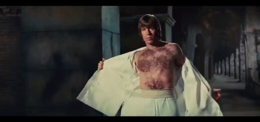 Bruce Lee Vs Chuck Norris