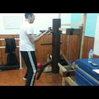 Manekin Wing Chun Kung Fu