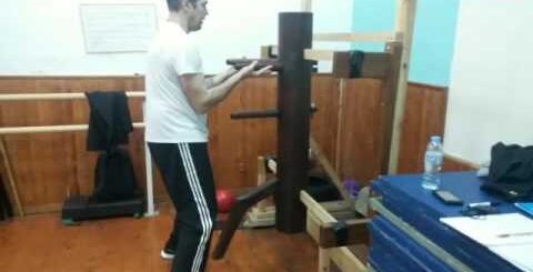 Manekin Wing Chun Kung Fu