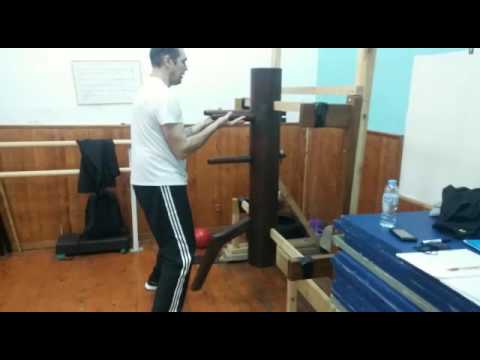 Manekin Wing Chun Kung Fu