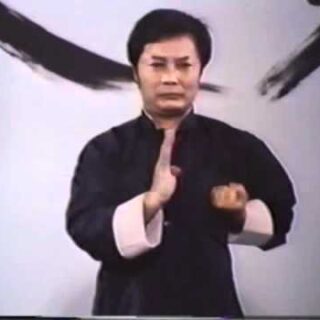 Siu Lim Tao, Wing Chun, Wong Shun Leung