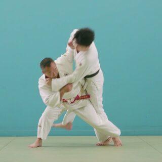 Tai Otoshi