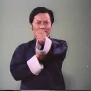 The Science of InFighting, Wing Chun, Wong Shun Leung