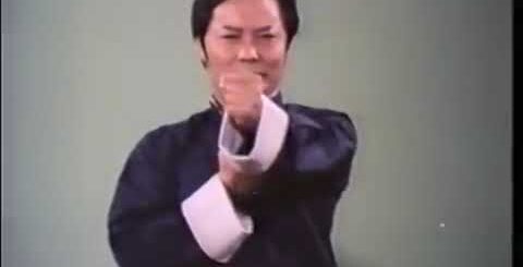 The Science of InFighting, Wing Chun, Wong Shun Leung