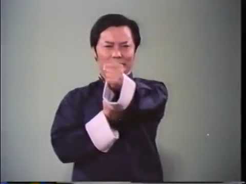 The Science of InFighting, Wing Chun, Wong Shun Leung