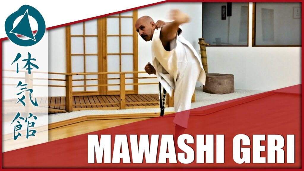 Mawashi geri