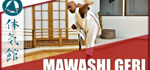 Mawashi geri