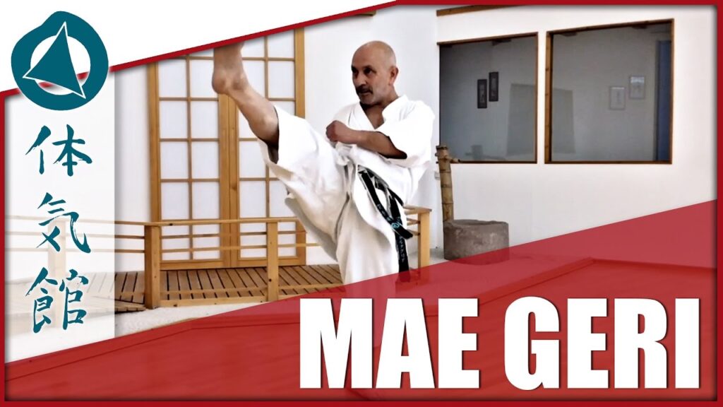 Mae geri