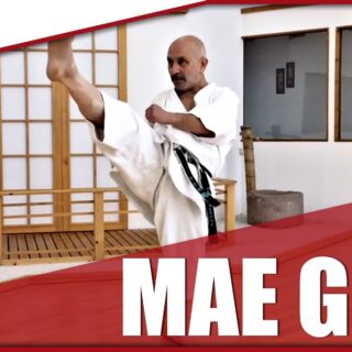 Mae geri