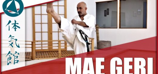 Mae geri