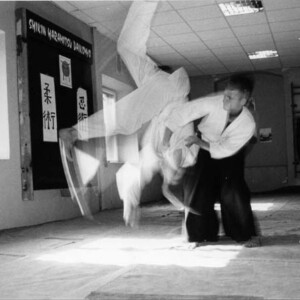 Trening aikido, Łódź 2001