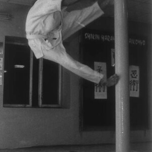 Trening aikido, Łódź 2001